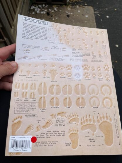 Figure Carving Al Stohlman Arbeitsbuch Anleitung Punzieren